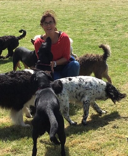 Rachel with dogs