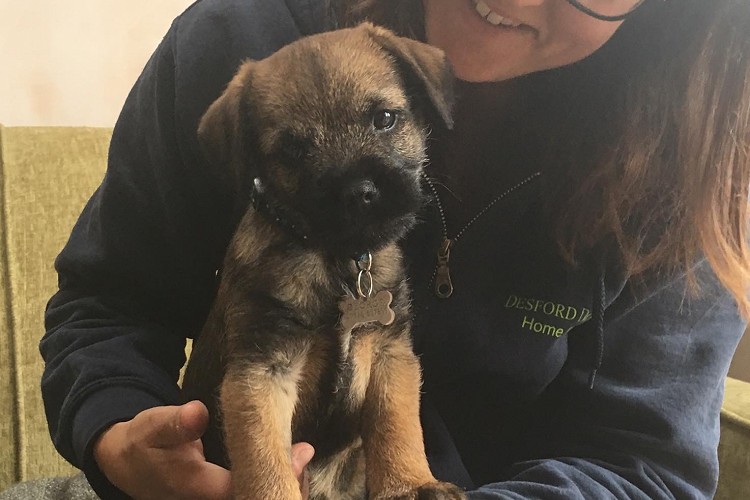 Rachel with dog