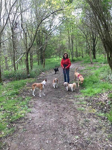 Rachel walking in woods