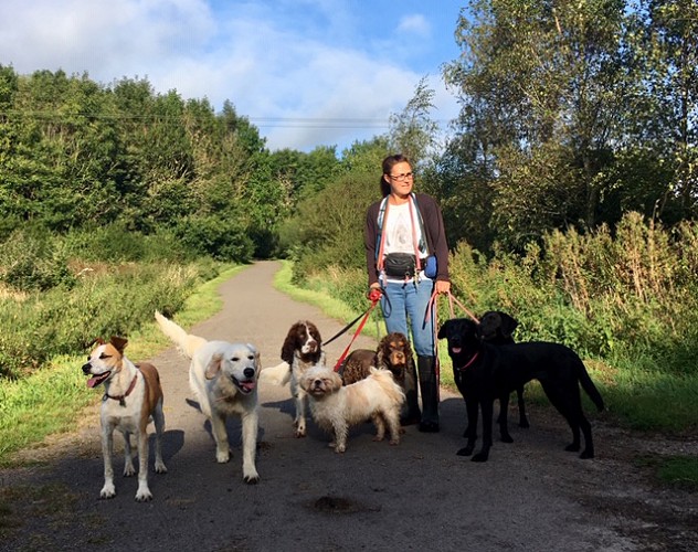 Rachel walking dogs